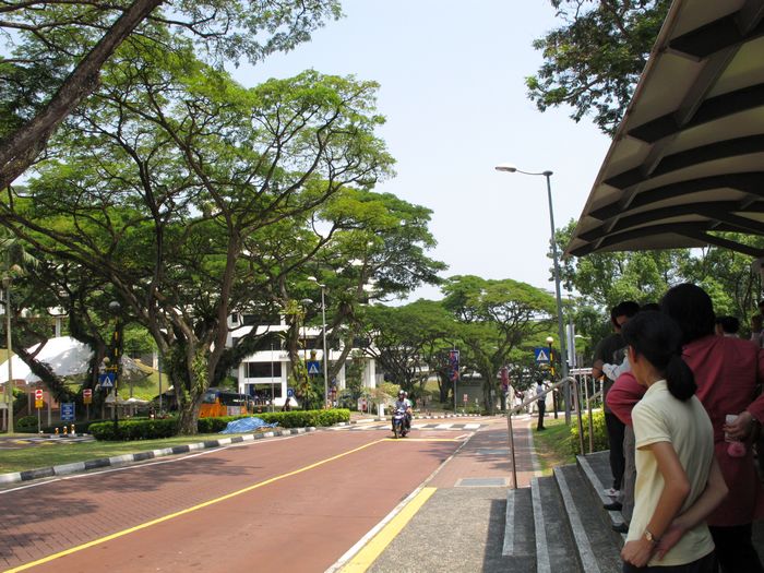 乘车准备参加毕业盛典