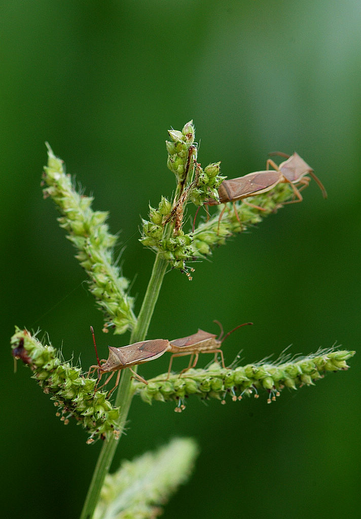复件 DSC_1764.JPG