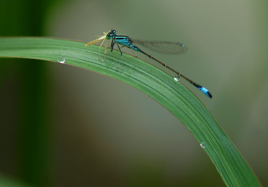 复件 DSC_1733.JPG