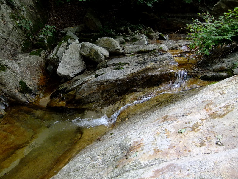 DSCF3072.jpg