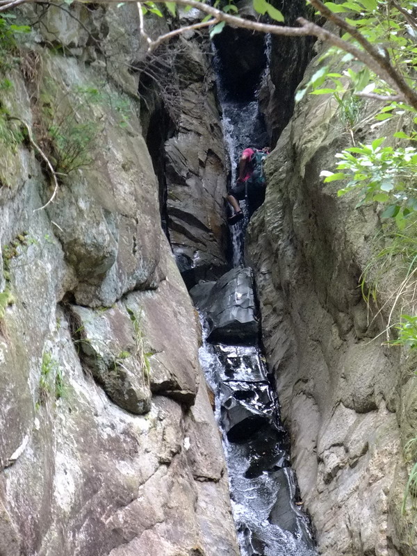 DSCF3090.jpg