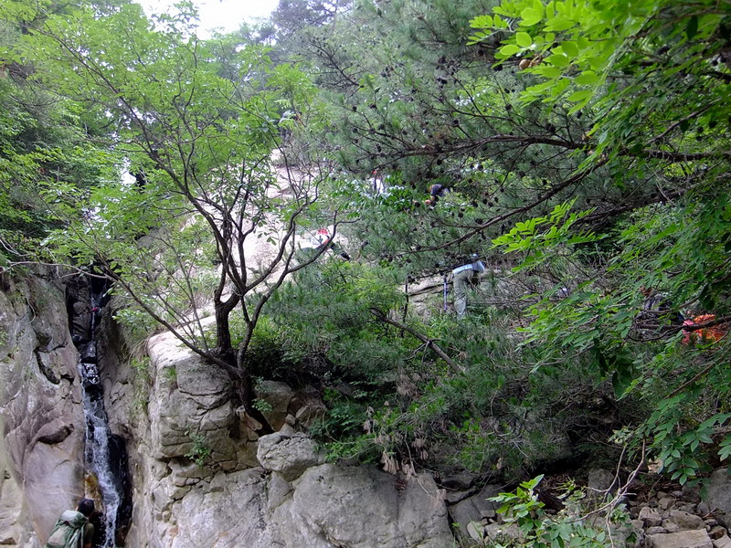 DSCF3091.jpg