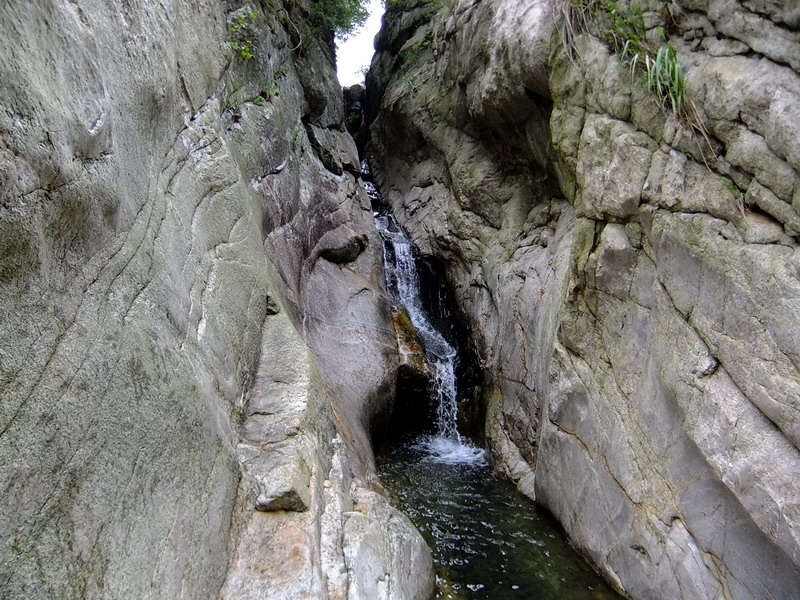DSCF3120.jpg