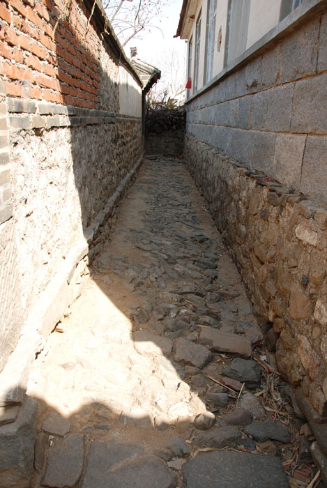 DSC_2233.JPG
