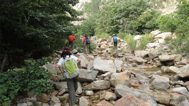 众驴进山