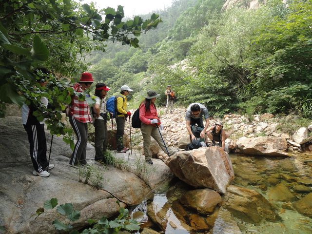 橡树湿身 美驴关注