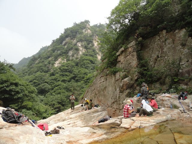 DSC02631.jpg