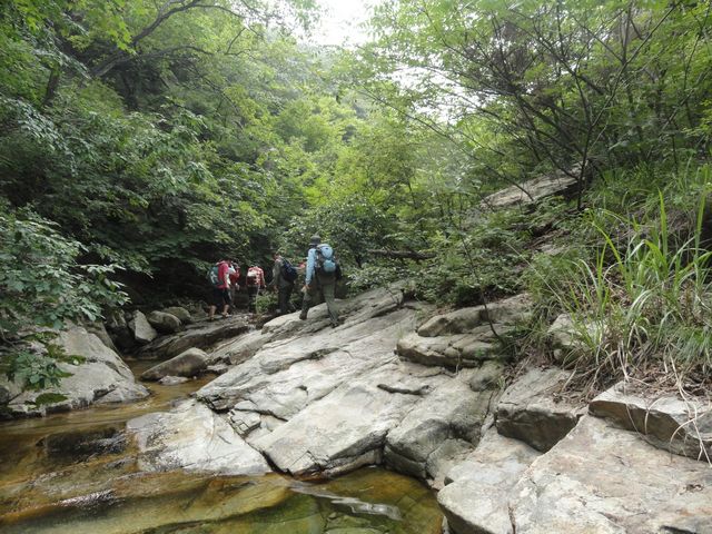 DSC02635.jpg