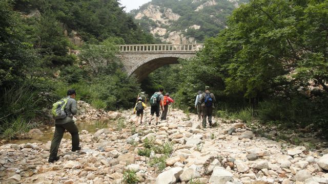 众驴越过三岔桥