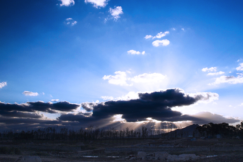 _A040532.JPG