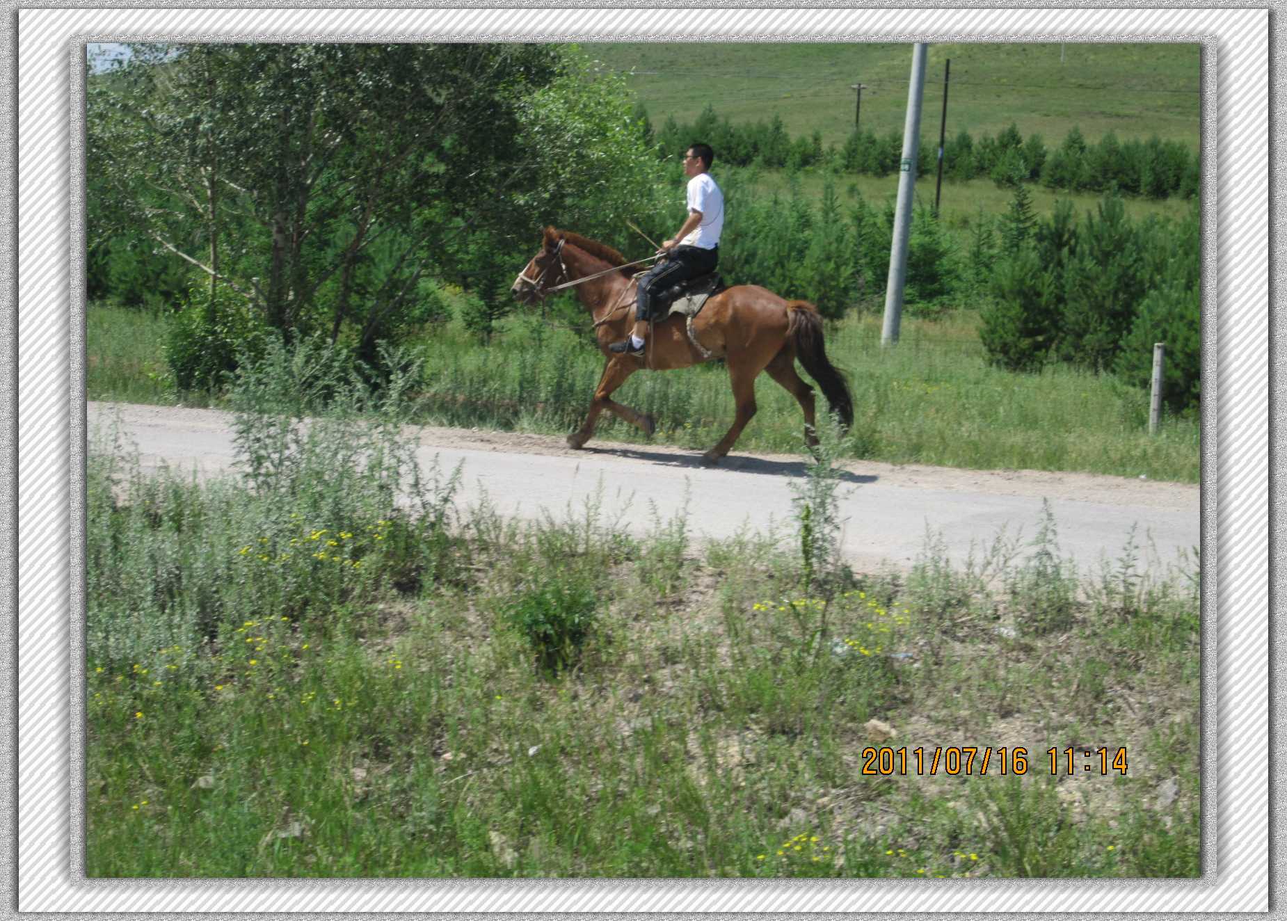 IMG_2594.jpg