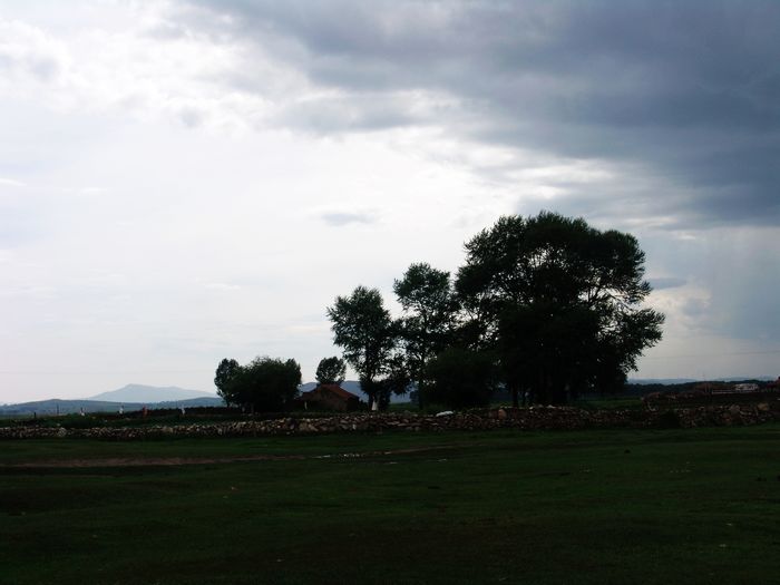 DSC09422.jpg