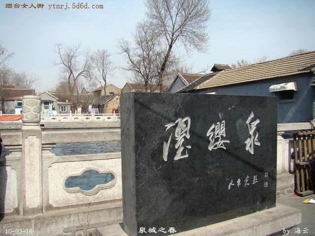 DSC04316.jpg
