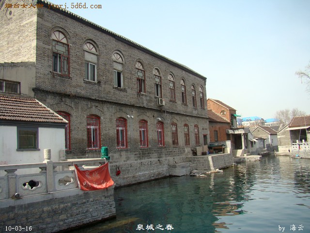 DSC04313.jpg