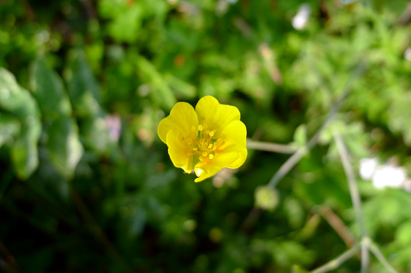 P1010190_副本.jpg