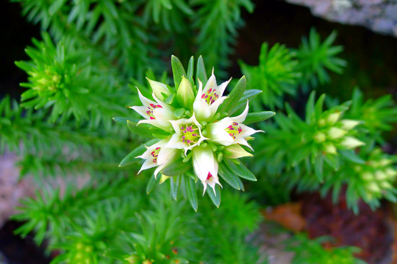 P1010196_副本.jpg