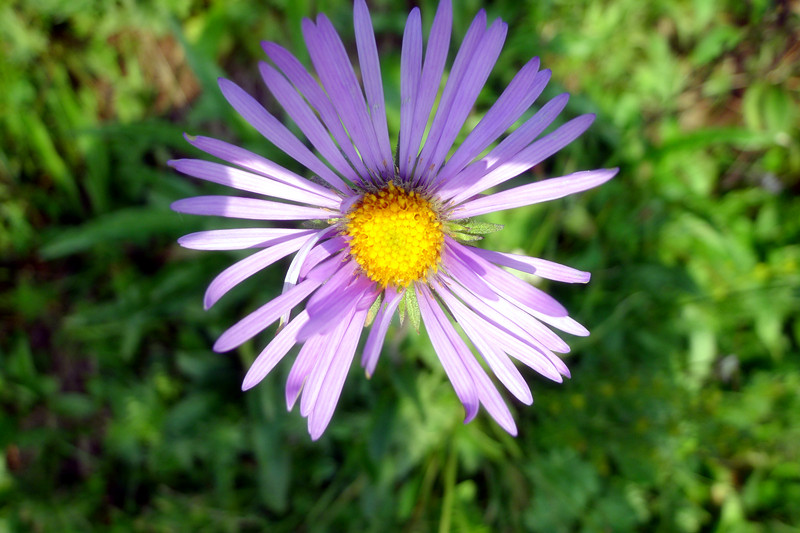 P1010191_副本.jpg