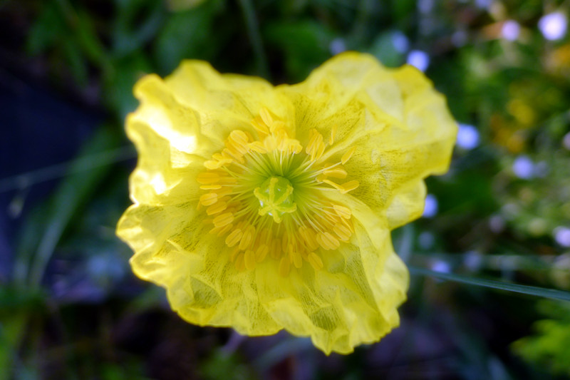P1010202_副本.jpg