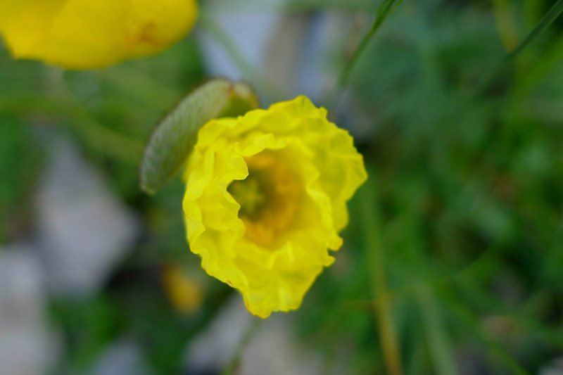 P1010210_副本.jpg