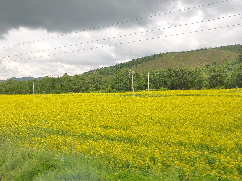 PhotoCap_058.jpg