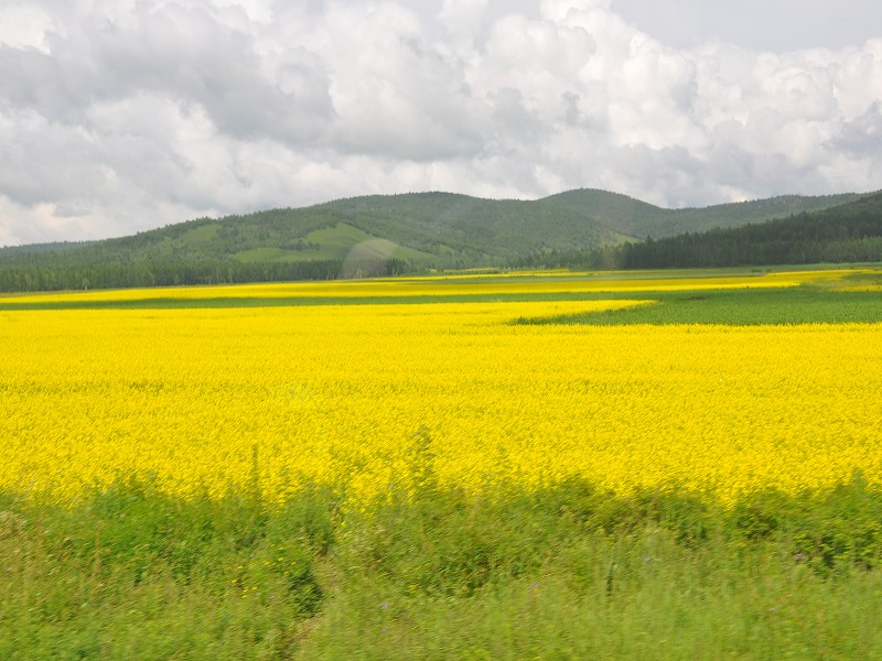PhotoCap_075.jpg