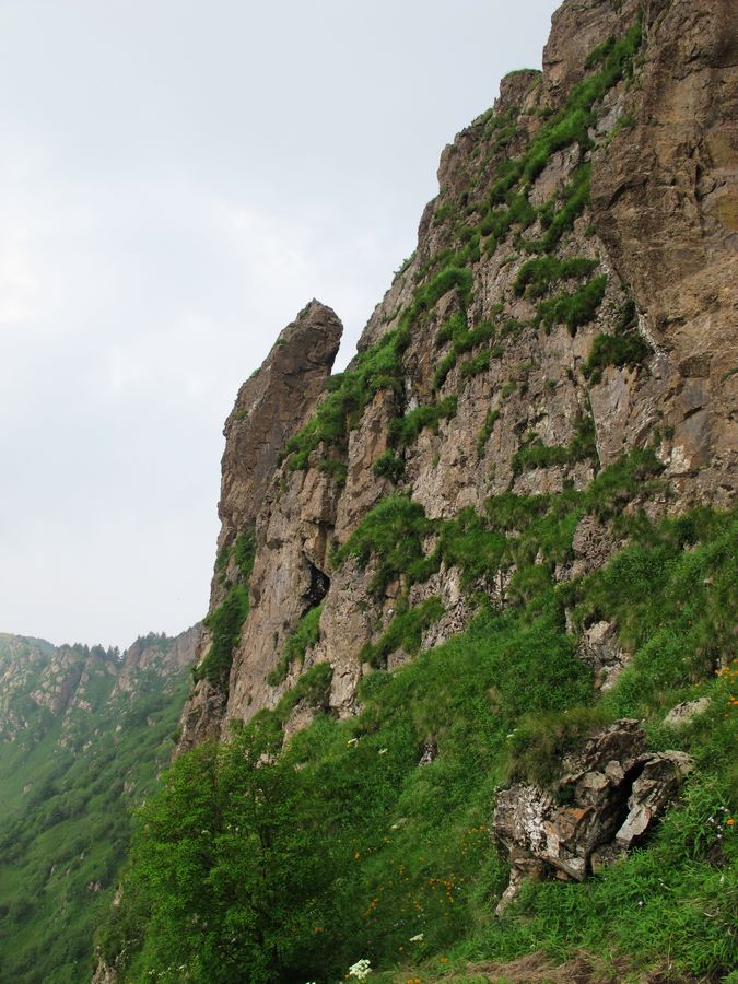 IMG_0933.jpg