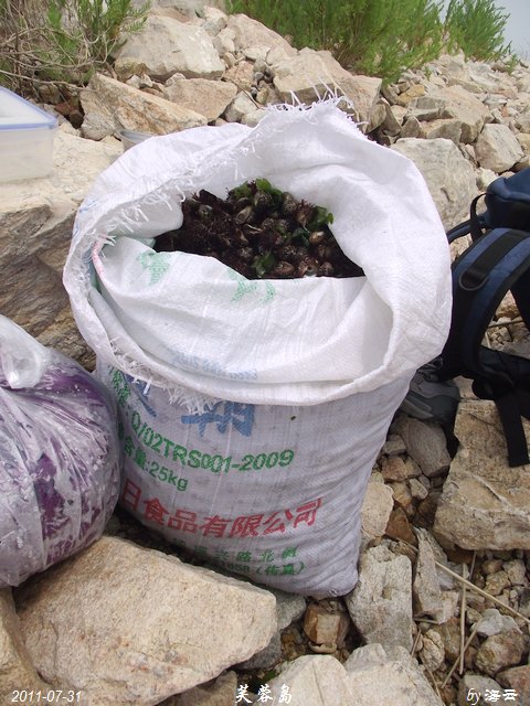 DSCF5447.jpg