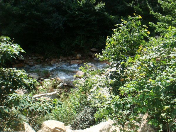 nEO_IMG_DSC04711.jpg