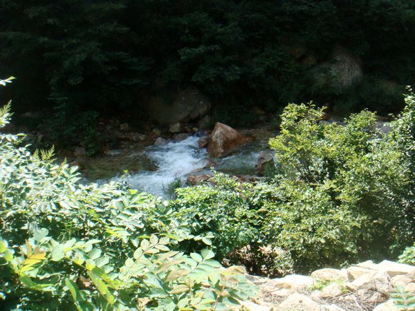 nEO_IMG_DSC04709.jpg