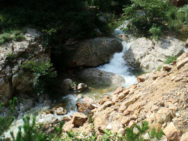 nEO_IMG_DSC04720.jpg