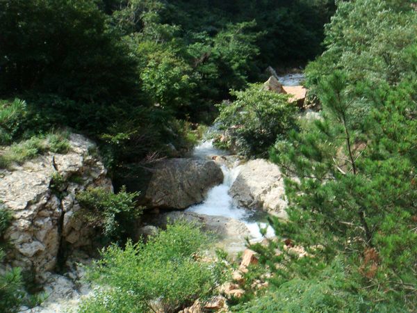nEO_IMG_DSC04719.jpg