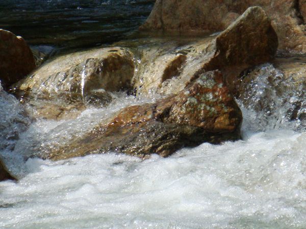 nEO_IMG_DSC04733.jpg