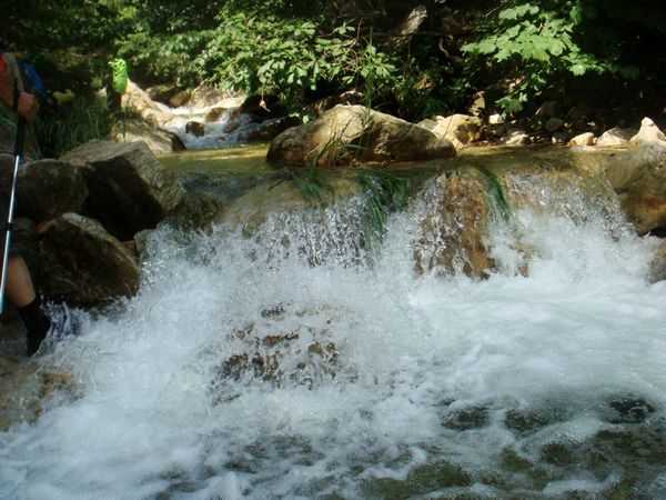 nEO_IMG_DSC04769.jpg
