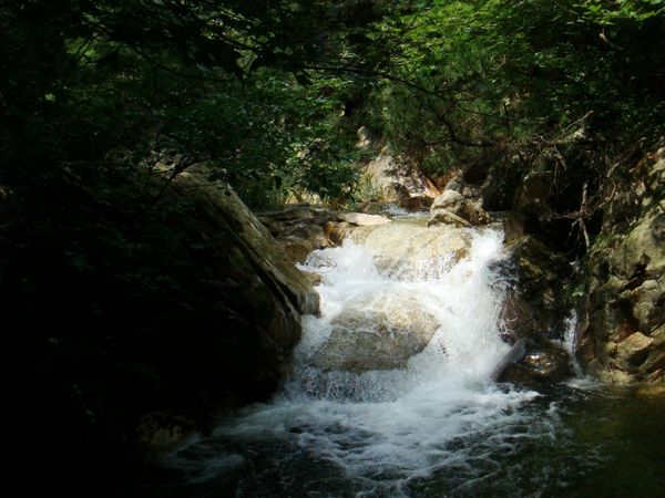 nEO_IMG_DSC04814.jpg