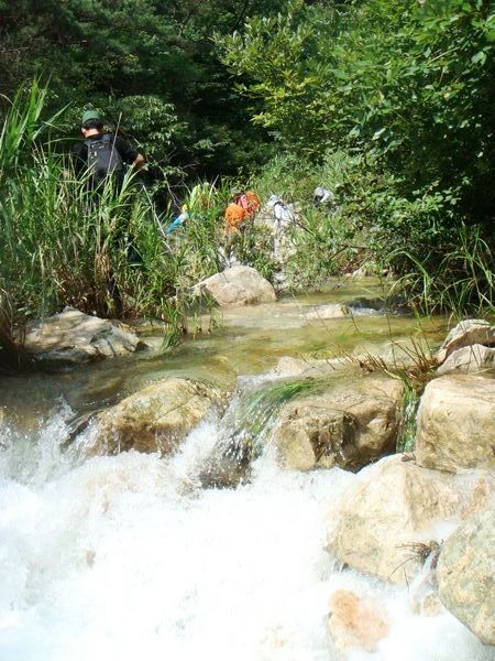 nEO_IMG_DSC04783.jpg