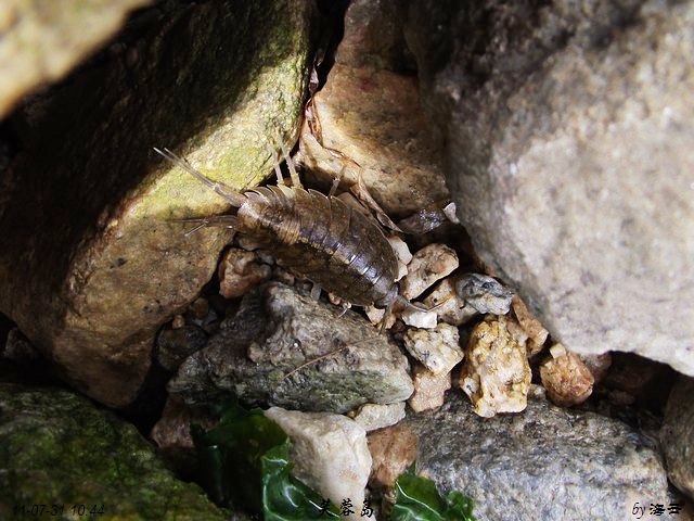DSCF5432.jpg