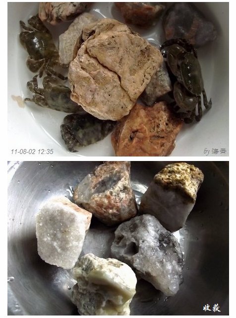 收获2.jpg