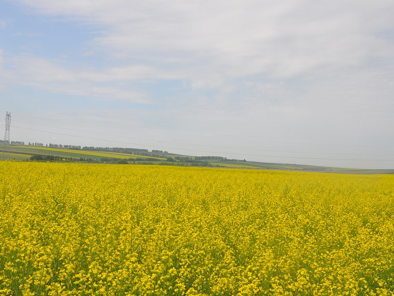 PhotoCap_474.jpg