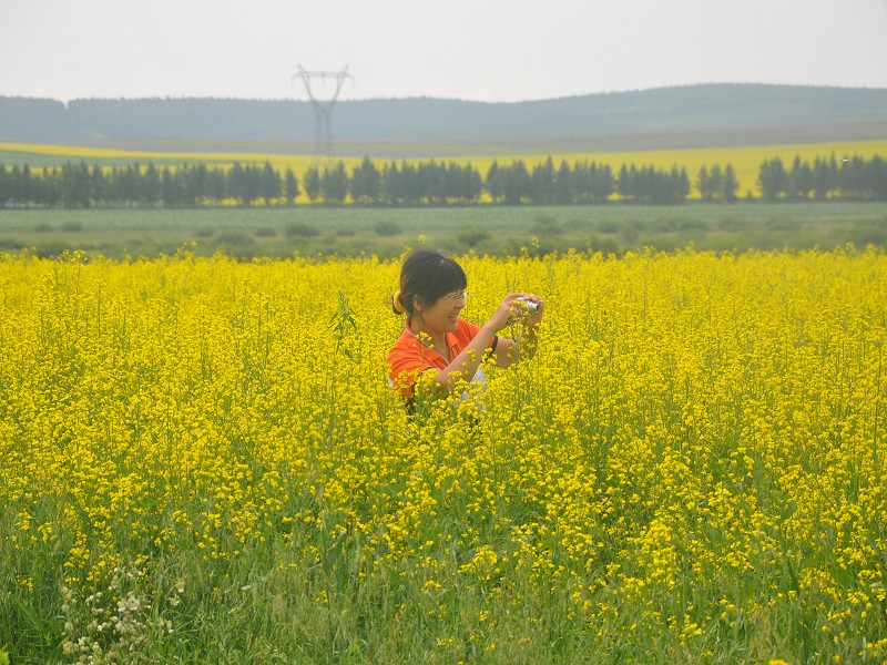 PhotoCap_479.jpg