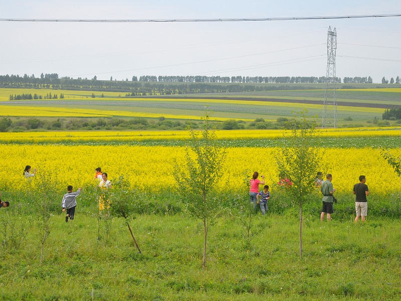 PhotoCap_482.jpg