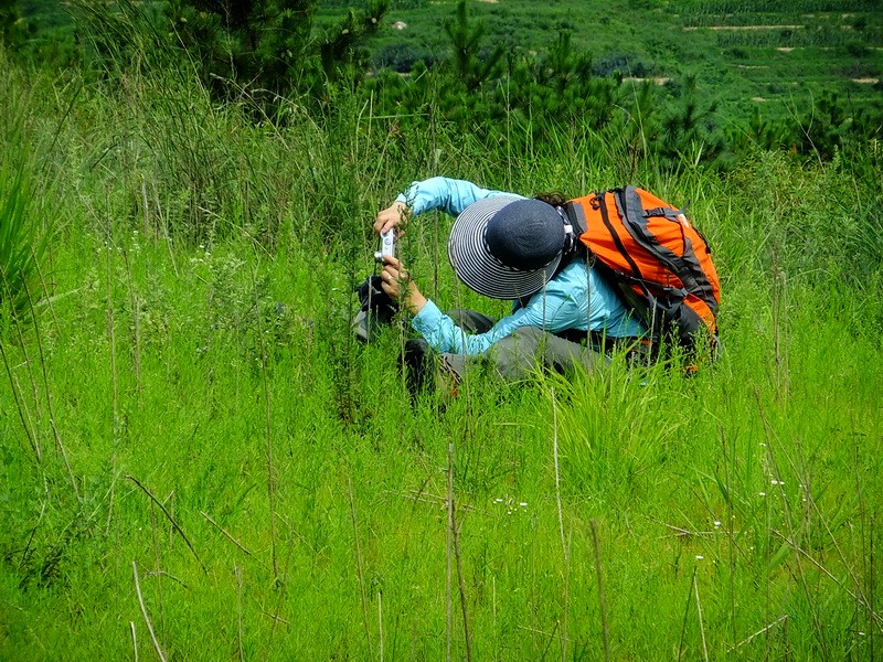 DSCF3592.jpg
