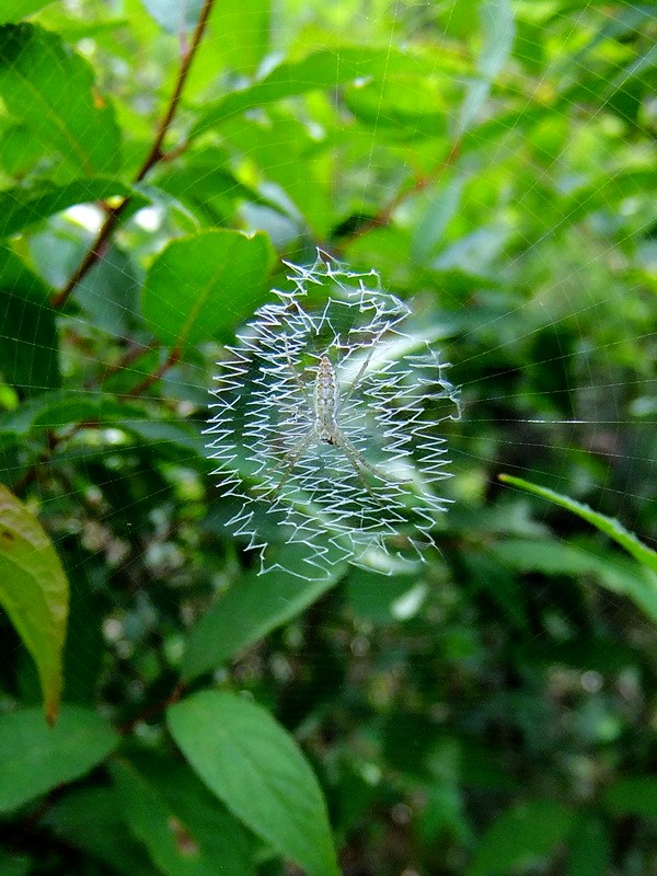 DSCF3656.jpg