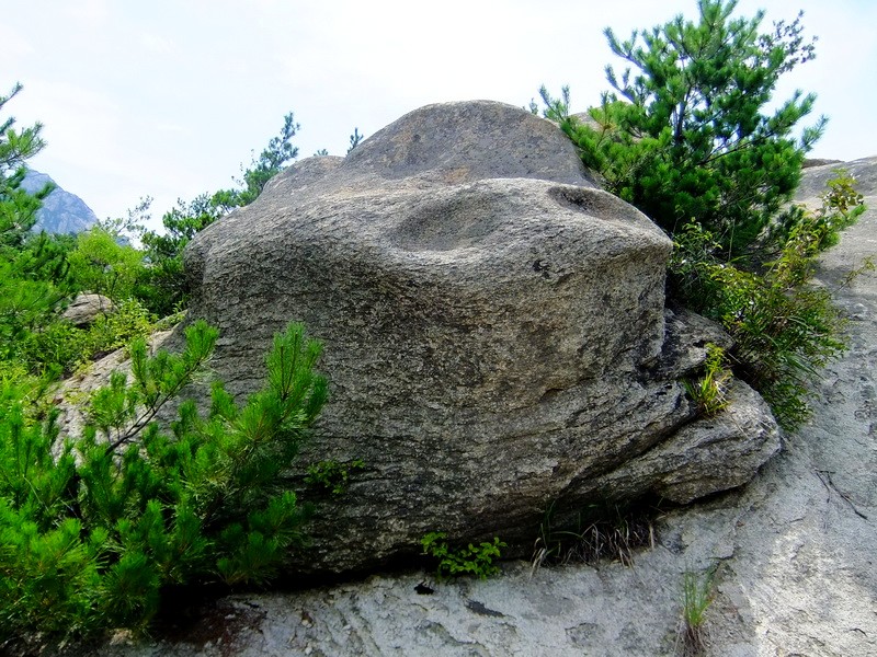 DSCF3659.jpg