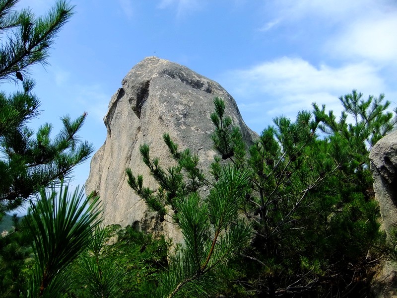DSCF3667.jpg