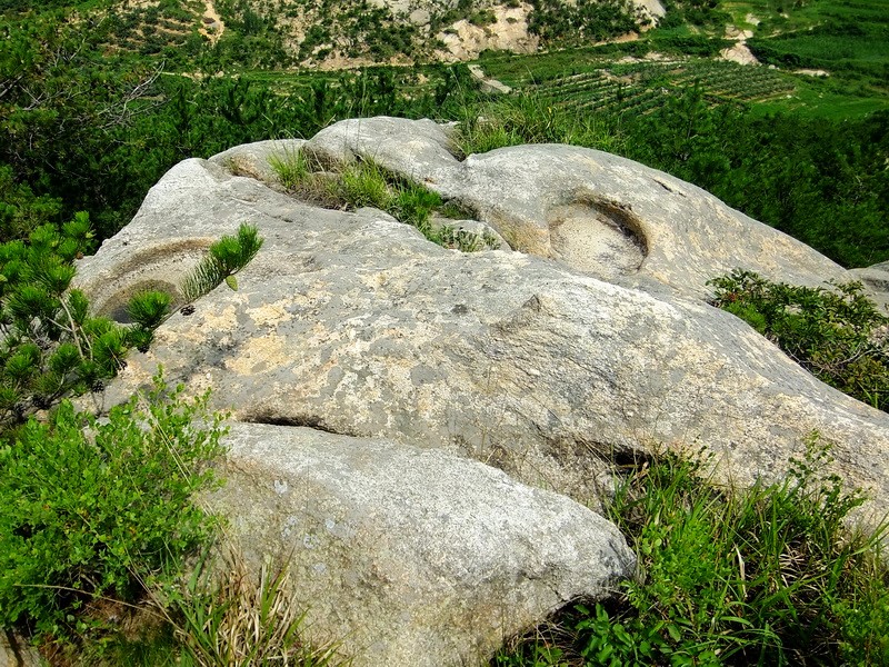 DSCF3683.jpg
