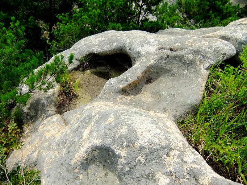 DSCF3670.jpg