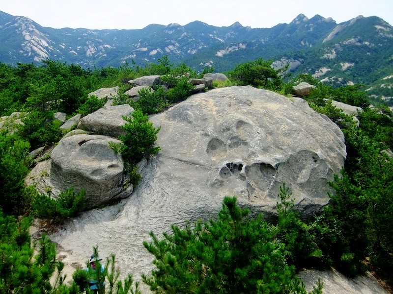 DSCF3687.jpg