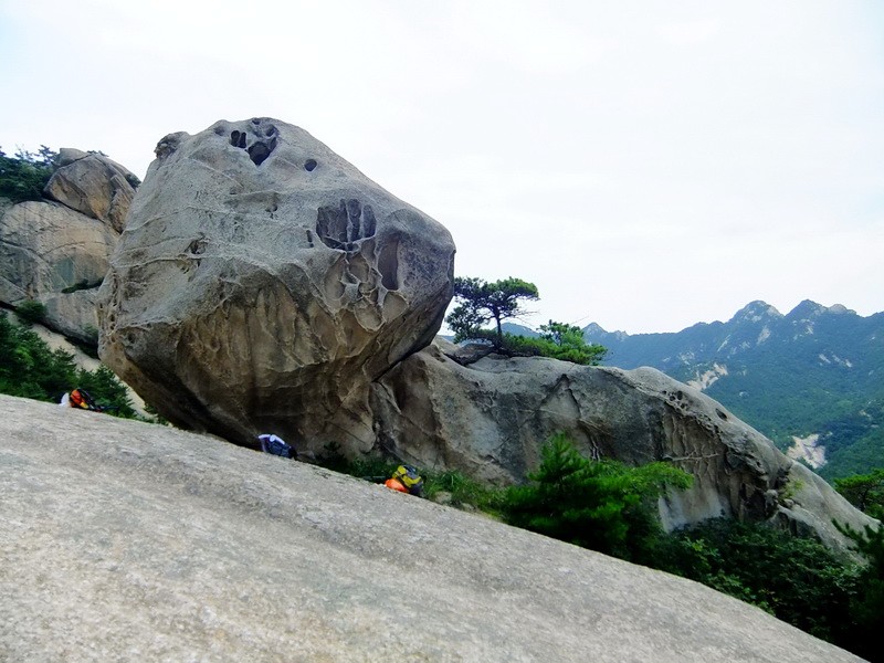 DSCF3742.jpg