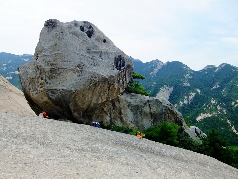 DSCF3739.jpg