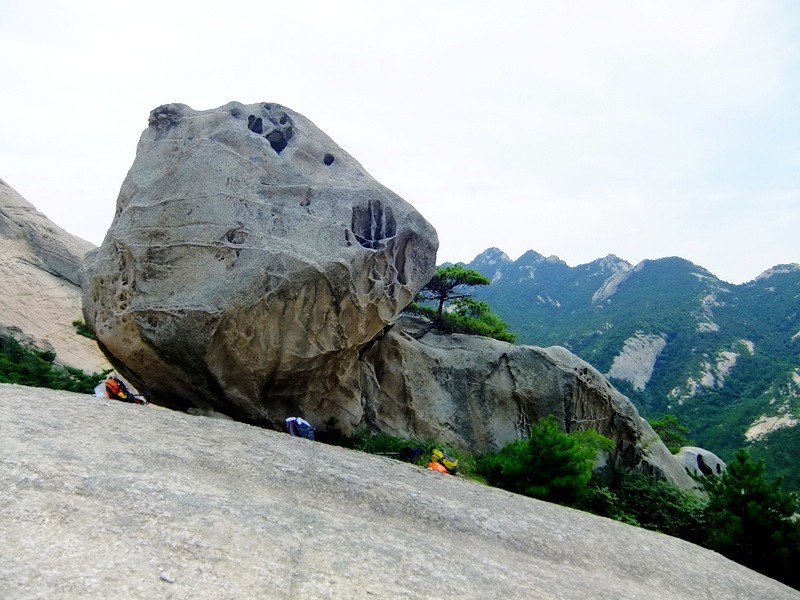 DSCF3741.jpg